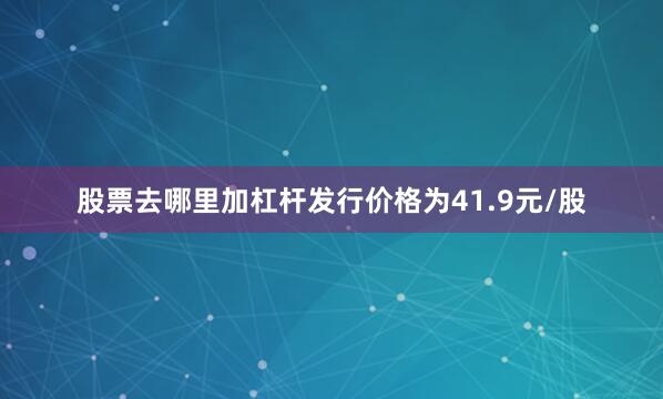 股票去哪里加杠杆发行价格为41.9元/股