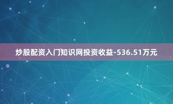 炒股配资入门知识网投资收益-536.51万元