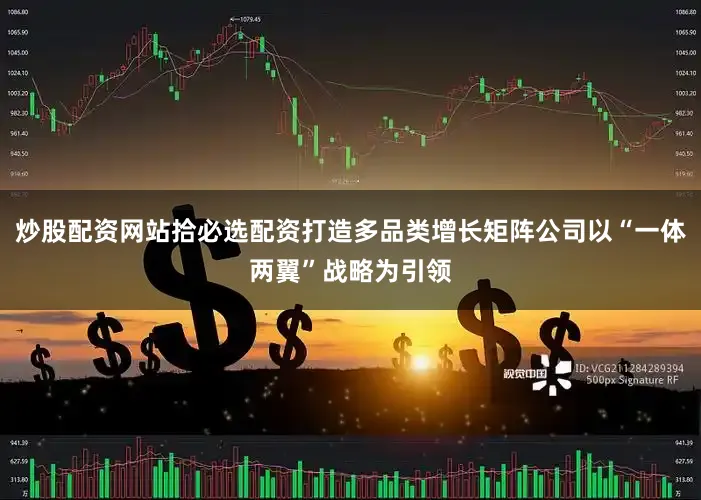 炒股配资网站拾必选配资打造多品类增长矩阵公司以“一体两翼”战略为引领